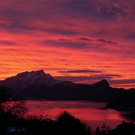 Appartement Seelewaermerli - Balsam Fuer Ihre Seele Seelisberg Luaran gambar