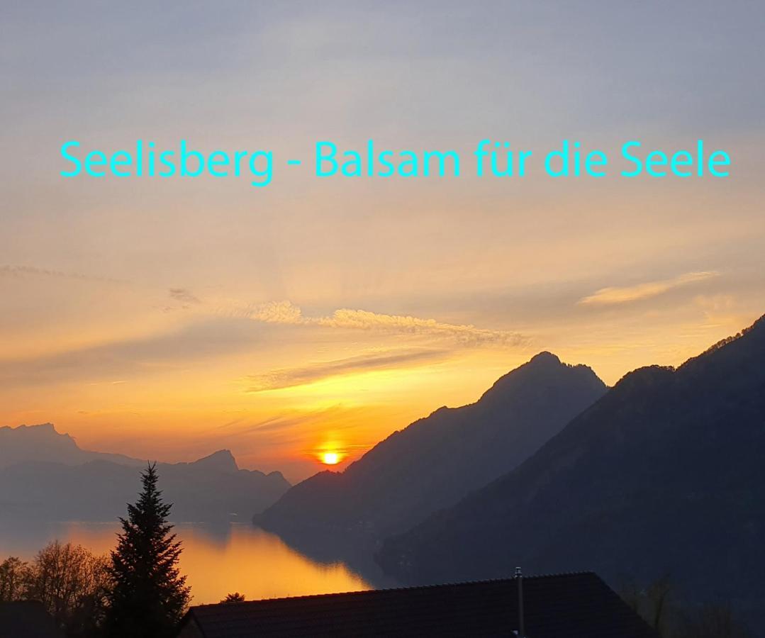 Appartement Seelewaermerli - Balsam Fuer Ihre Seele Seelisberg Luaran gambar