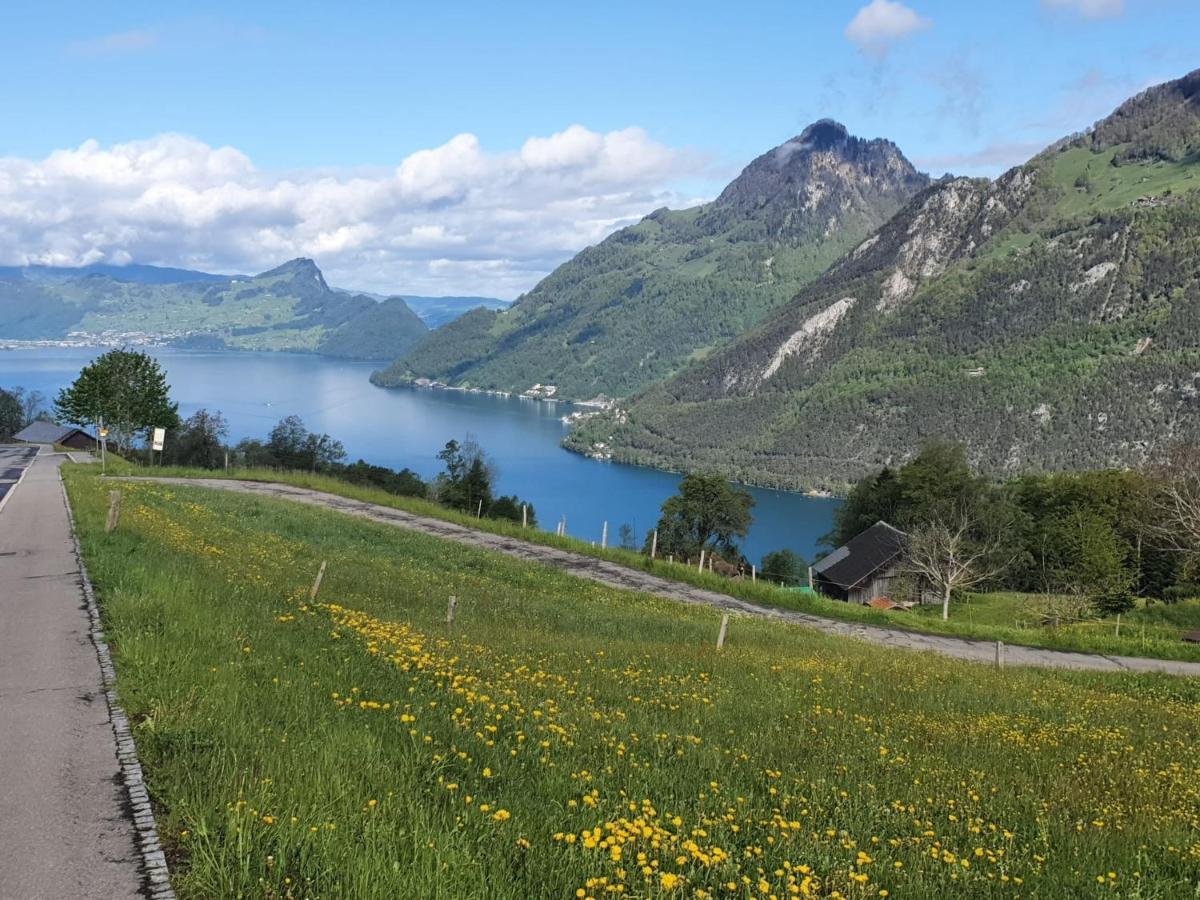 Appartement Seelewaermerli - Balsam Fuer Ihre Seele Seelisberg Luaran gambar