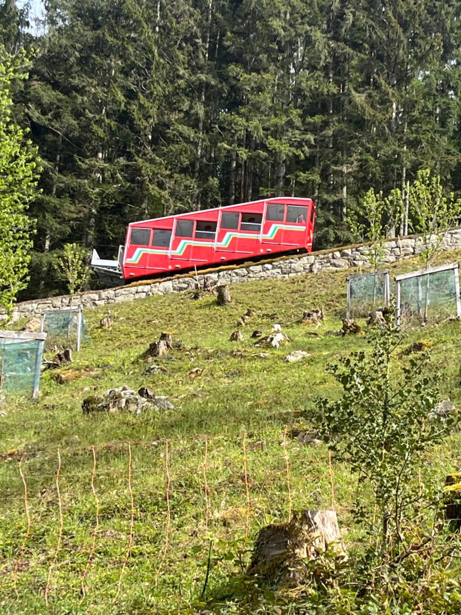 Appartement Seelewaermerli - Balsam Fuer Ihre Seele Seelisberg Luaran gambar